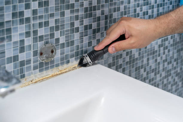 Best Mold Removal Process  in Oill, NE