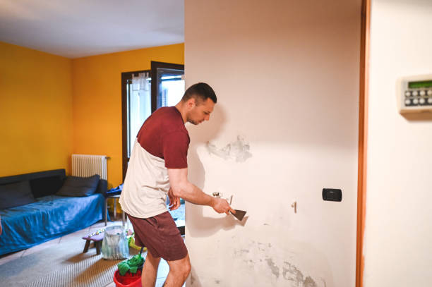 Best Office Mold Removal Services  in Oill, NE