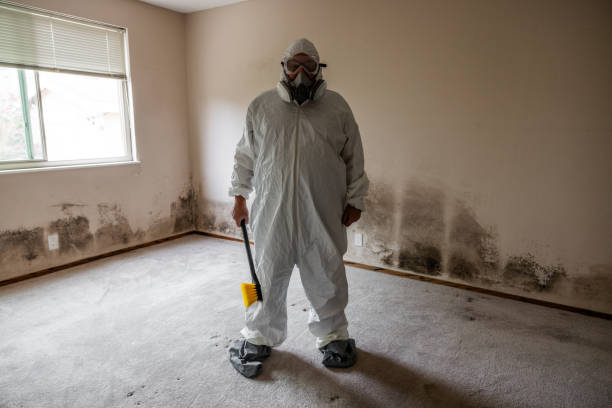 Best Crawl Space Mold Removal  in Oill, NE
